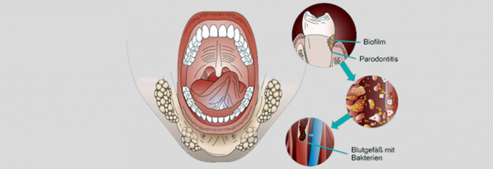 Einstieg in die ganzheitliche Zahn-Heil-Kunde